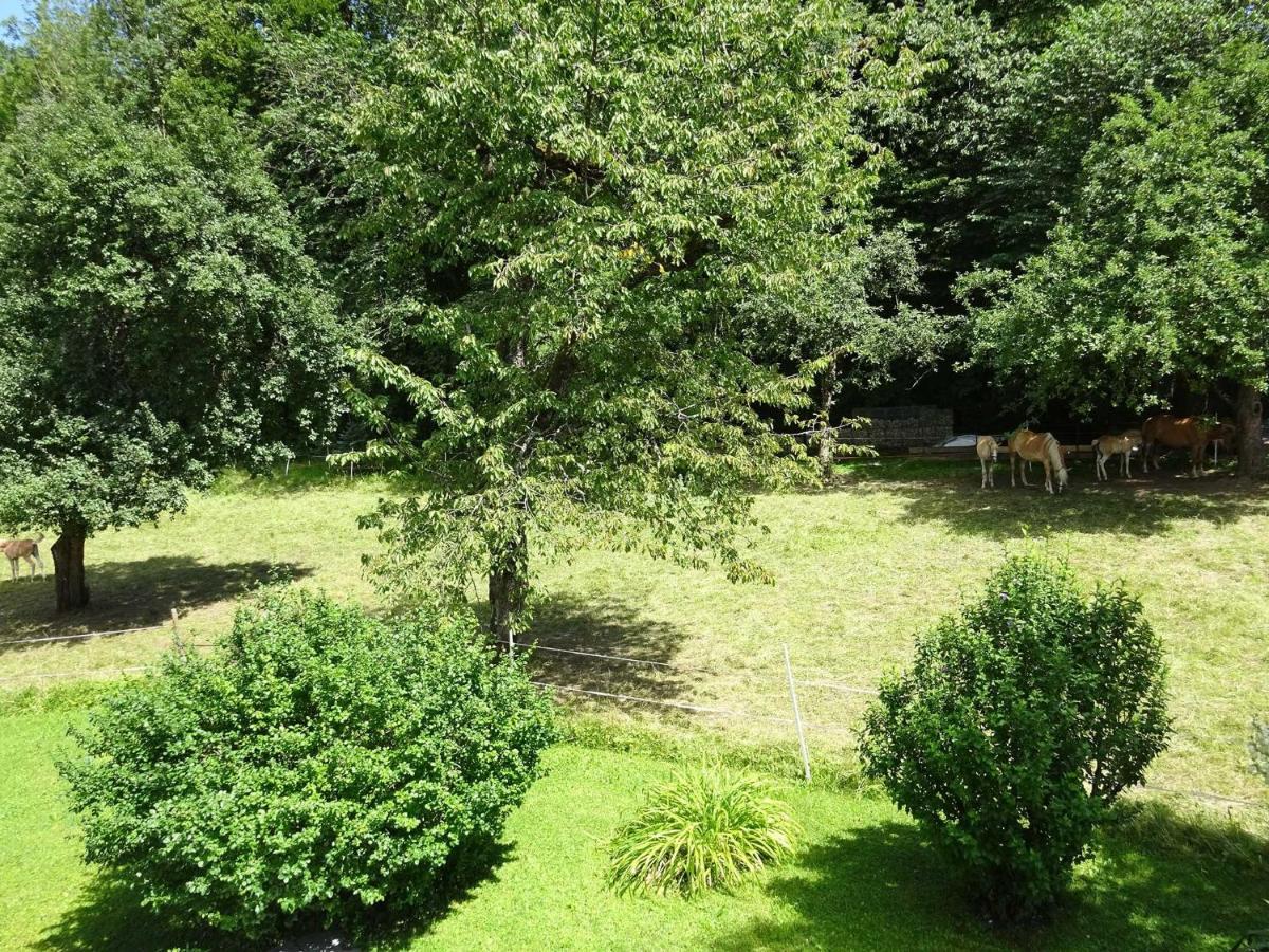 Ferienwohnungen Auhaus Bad Reichenhall Exteriér fotografie