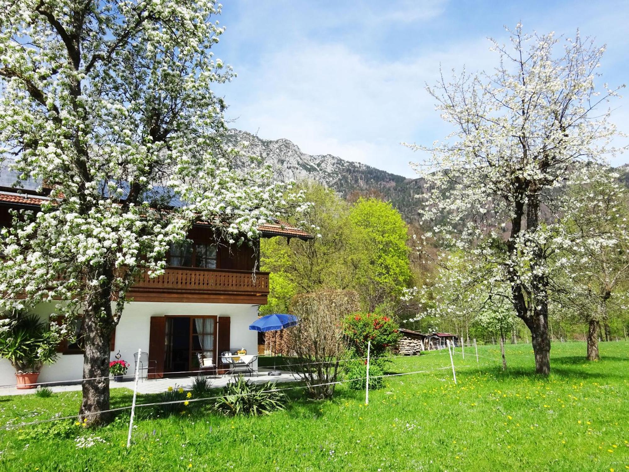 Ferienwohnungen Auhaus Bad Reichenhall Exteriér fotografie