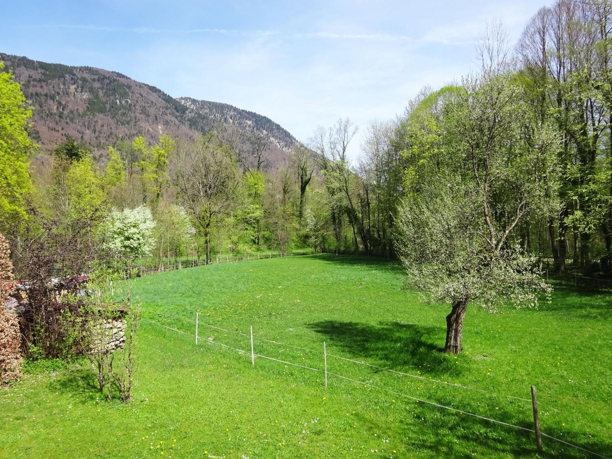 Ferienwohnungen Auhaus Bad Reichenhall Exteriér fotografie